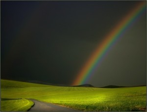 rainbow dark